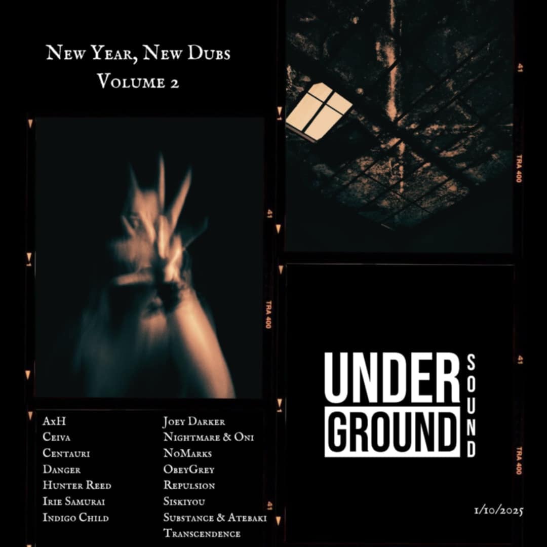 New Year, New Dubs Volume 2